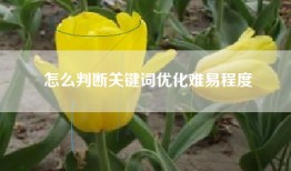 怎么判断关键词优化难易程度