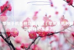 苹果手机各种功能介绍（苹果手机各种功能介绍大全）