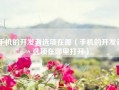 手机的开发者选项在哪（手机的开发者选项在哪里打开）
