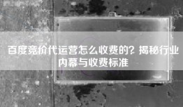 百度竞价代运营怎么收费的？揭秘行业内幕与收费标准