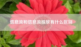信息流和信息流投放有什么区别