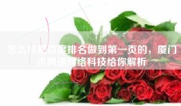 怎么样把百度排名做到第一页的，厦门迅网通网络科技给你解析