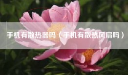 手机有散热器吗（手机有散热风扇吗）