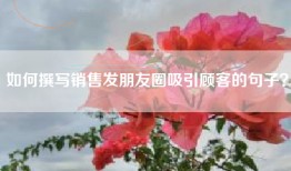 如何撰写销售发朋友圈吸引顾客的句子？