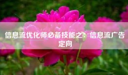 信息流优化师必备技能之：信息流广告定向
