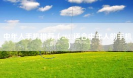 中年人手机推荐(2021适合中年人的手机)