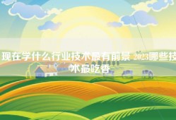 现在学什么行业技术最有前景 2023哪些技术最吃香