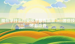 现在学什么行业技术最有前景 2023哪些技术最吃香