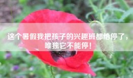 这个暑假我把孩子的兴趣班都给停了，唯独它不能停！