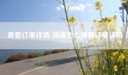 查看订单详情-滴滴怎么查看订单详情