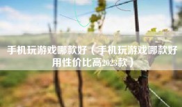 手机玩游戏哪款好（手机玩游戏哪款好用性价比高2023款）