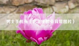 男士手机壳（男士手机壳背景图片）