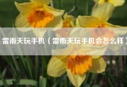 雷雨天玩手机（雷雨天玩手机会怎么样）