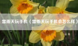 雷雨天玩手机（雷雨天玩手机会怎么样）