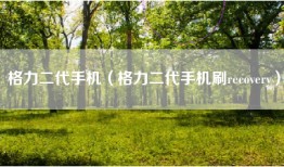 格力二代手机（格力二代手机刷recovery）