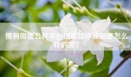 搜狗微信公共平台搜索排序规则是怎么样的呢？