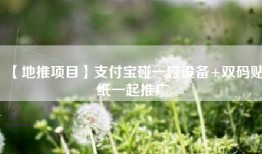 【地推项目】支付宝碰一碰设备+双码贴纸一起推广