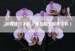 游戏排行手机（排名前十游戏手机）