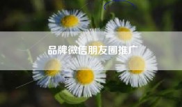 品牌微信朋友圈推广