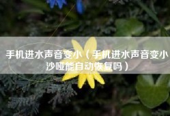 手机进水声音变小（手机进水声音变小沙哑能自动恢复吗）
