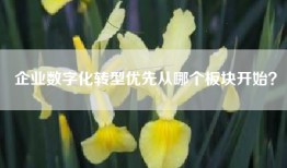企业数字化转型优先从哪个板块开始？