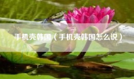 手机壳韩国(手机壳韩国怎么说)