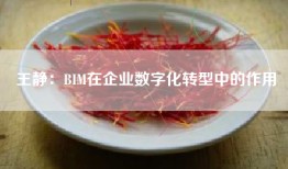王静：BIM在企业数字化转型中的作用
