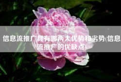 信息流推广具有哪两大优势和劣势(信息流推广的优缺点)