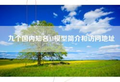 九个国内知名AI模型简介和访问地址