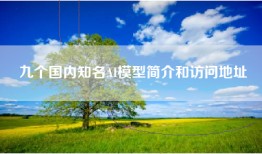 九个国内知名AI模型简介和访问地址