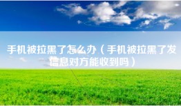 手机被拉黑了怎么办（手机被拉黑了发信息对方能收到吗）