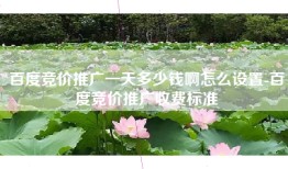 百度竞价推广一天多少钱啊怎么设置-百度竞价推广收费标准