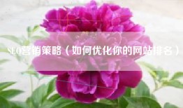 SEO营销策略（如何优化你的网站排名）