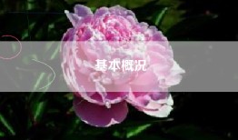 基本概况