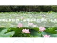 深圳手机回收（深圳手机回收线下门店）