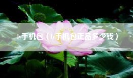 lv手机包（lv手机包正品多少钱）