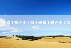 安卓手机连不上网（安卓手机连不上网络）