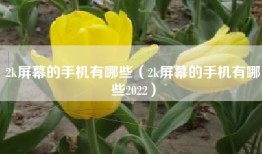 2k屏幕的手机有哪些（2k屏幕的手机有哪些2022）