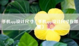 手机app设计尺寸（手机app设计尺寸在哪里）