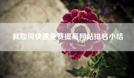 就如何快速免费提高网站排名小结