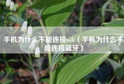 手机为什么不能连接wifi（手机为什么不能连接蓝牙）