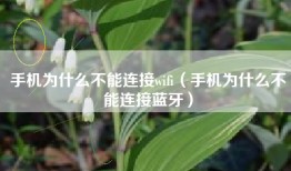 手机为什么不能连接wifi（手机为什么不能连接蓝牙）