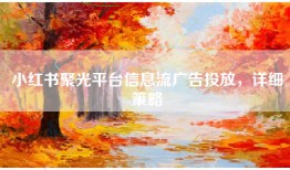 小红书聚光平台信息流广告投放，详细策略