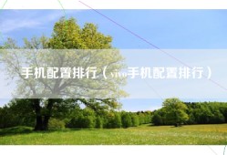 手机配置排行（vivo手机配置排行）