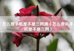 怎么查手机是不是三网通（怎么查询手机是不是三网）