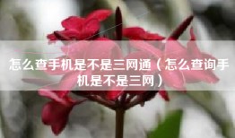 怎么查手机是不是三网通（怎么查询手机是不是三网）