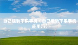 自己组装苹果手机（自己组装苹果手机能用吗）