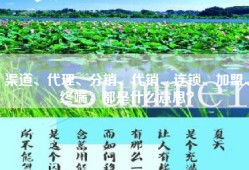 渠道、代理、分销、代销、连锁、加盟、终端，都是什么意思？
