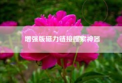 增强版磁力链接搜索神器