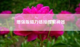 增强版磁力链接搜索神器